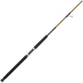 Spinning Fishing Rod