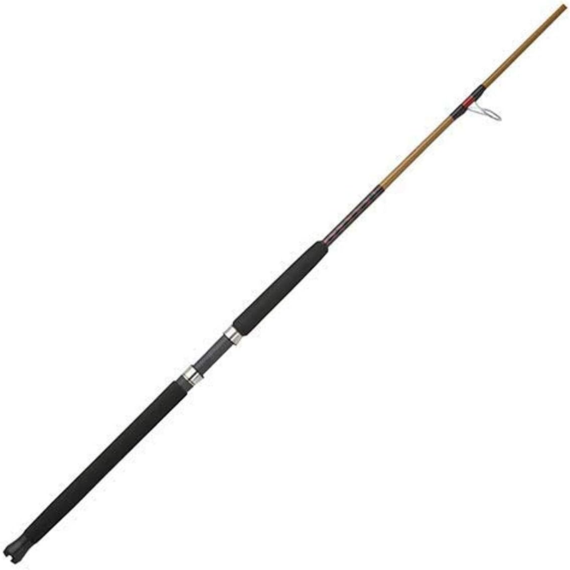 Spinning Fishing Rod
